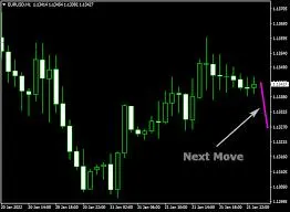 Indicator The Next Move Forex Indicator MT4