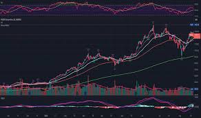 Indicator Easy money for TradingView
